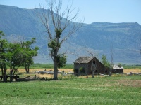 Along the road to Plush, an abandoned building, horses in the shade, Hart Lake, and the west side of Hart Mountain.
