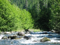Further down highway 58, Salt Creek flows along the road.
