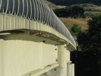Swallows nesting under the bridge over the Snake.
