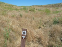Look carefully and you can see the ruts from the wagon trains.