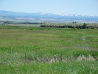 Across the Malheur National Wildlife Refuge with the Steens Mountains in the distance.
