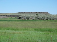 Lovely lava formations and lush, long grass in the Malheur National Wildlife Refuge.
