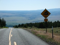 The top of the 14% grade out of Frenchglen, looking over the Malheur National Wildlife Refuge. It was a great way to start the day, climbing out of Frenchglen each of us loaded with two gallons of water.