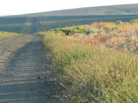 Rolling across the undulating Catlow Plain, 50 miles of gravel, grass, and sagebrush.