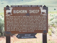 Not only Pronghorn Antelope, but also Bighhorn Sheep. We saw some antelope, but no sheep.
