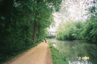 C&amp;O Cap.Cres.Bridge fromC&amp;O.jpg
