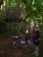 Troy Gold Mine Trail.JPG